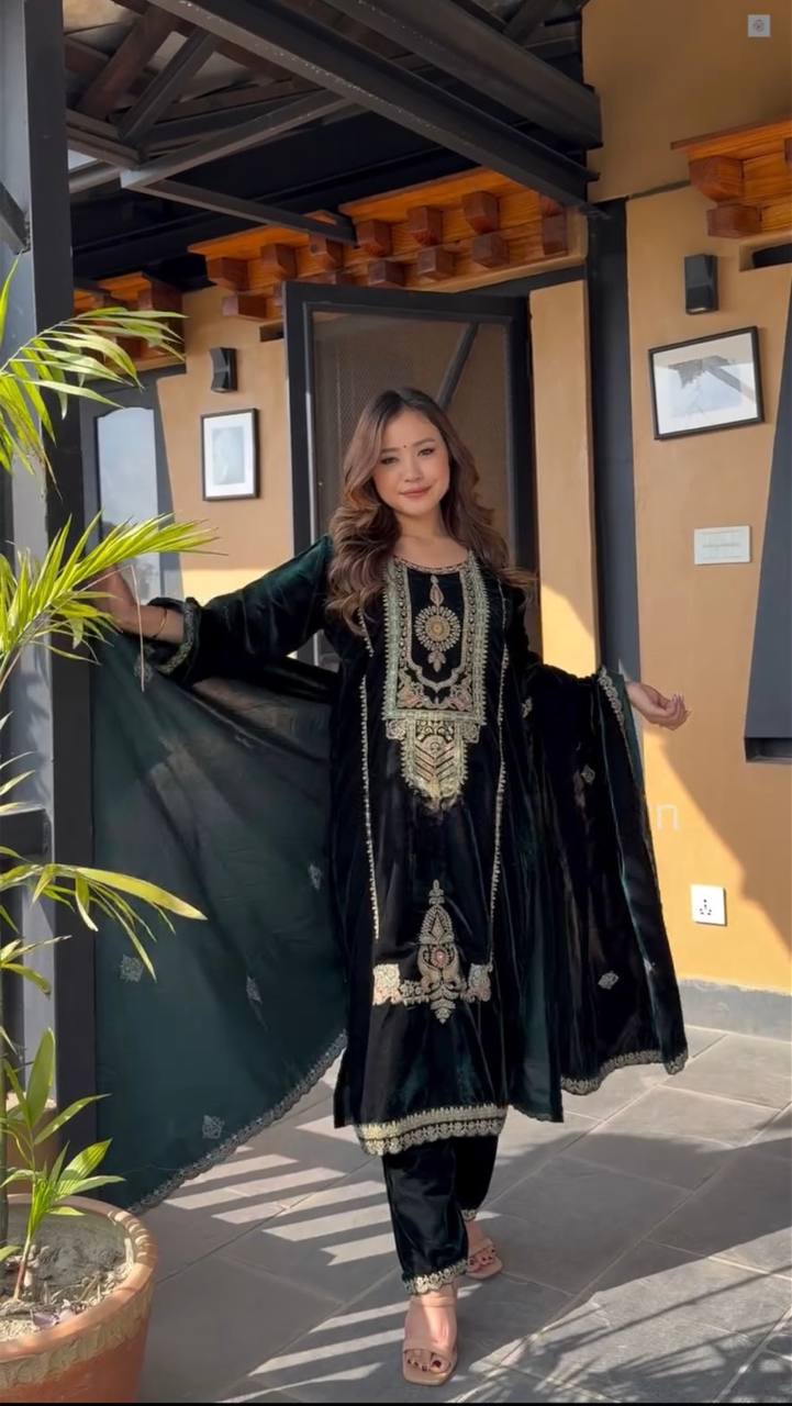 Velvet top with Embroidery Coding Sequence Work