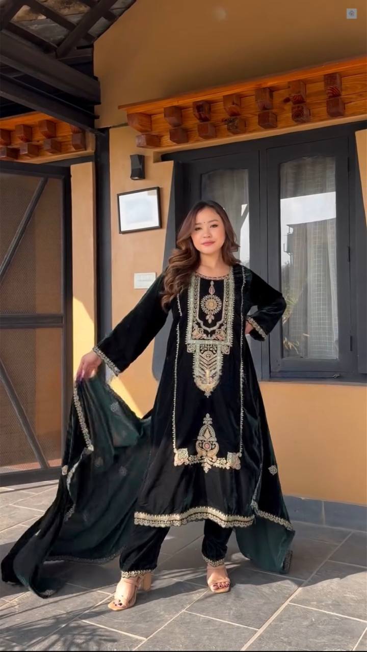 Velvet top with Embroidery Coding Sequence Work