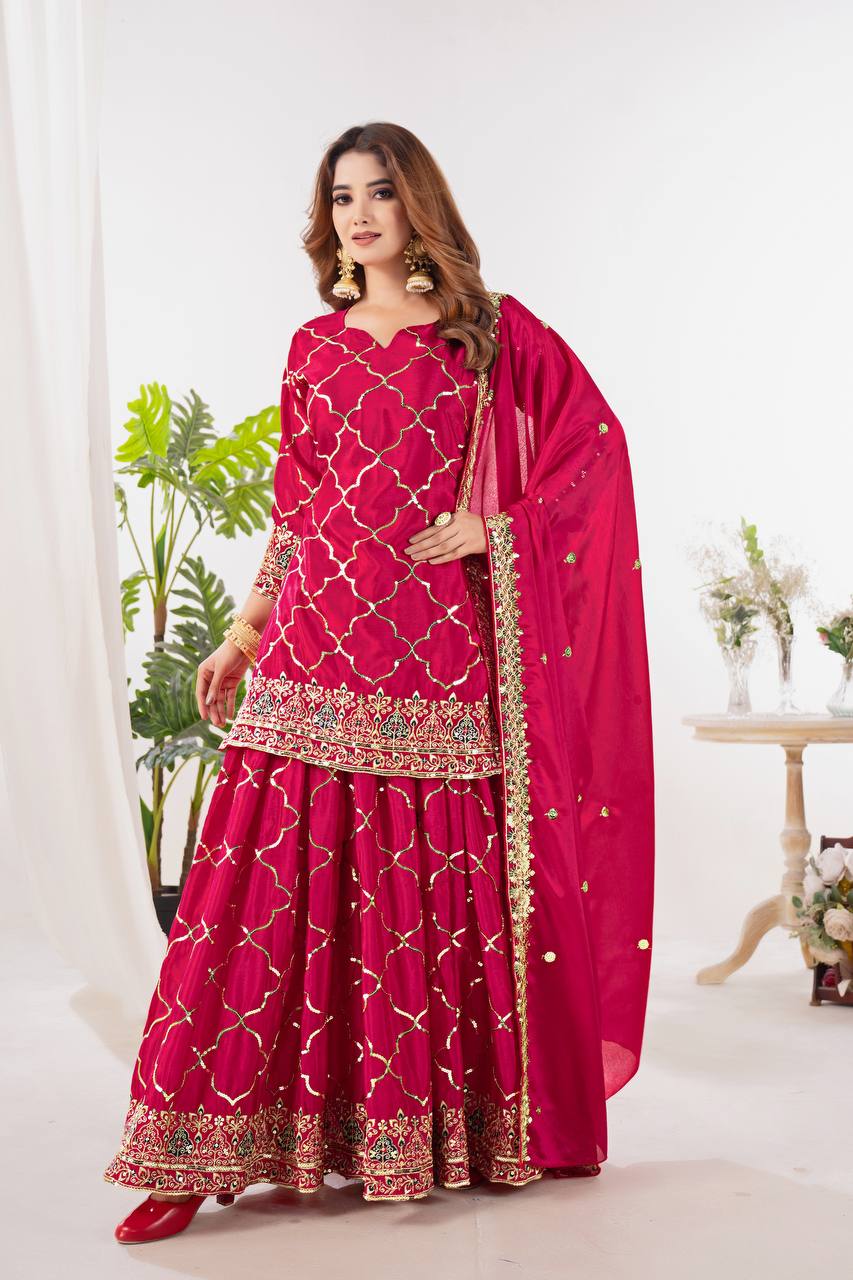 Professional Top & Sarara for Party wear.