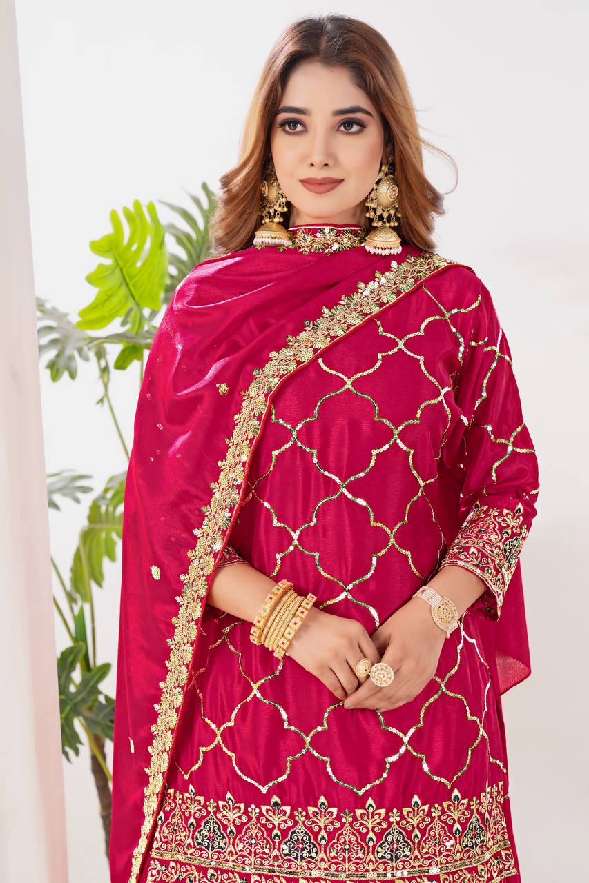 Professional Top & Sarara for Party wear.